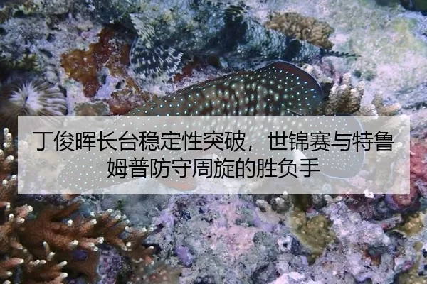 ding-jun-hui-zhang-tai-wen-ding-xing-tu-po-shi-jin-sai-yu-te-lu-mu-pu-fang-shou-zhou-xuan-de-sheng-fu-shou-2-811.jpg