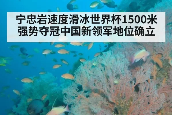 宁忠岩速度滑冰世界杯1500米强势夺冠中国新领军地位确立